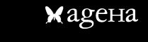 ロゴ - ageHa logo